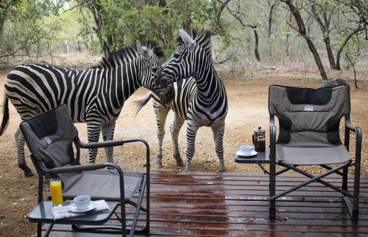 Tusk Bush Lodge Marloth Park Exterior photo