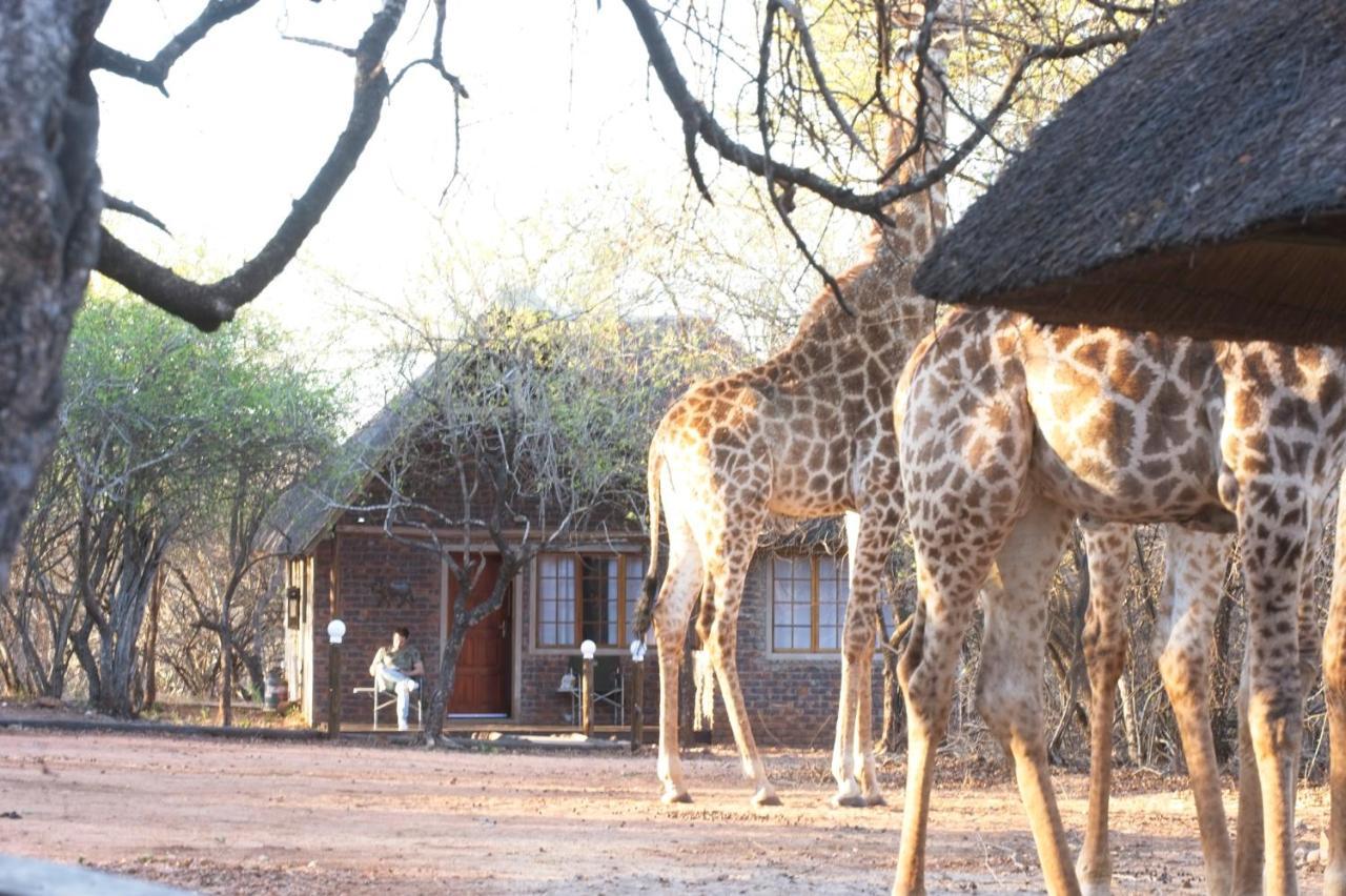 Tusk Bush Lodge Marloth Park Exterior photo